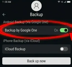 Screenshot 2026 05 13 064534 2