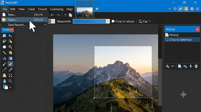 Paint.NET