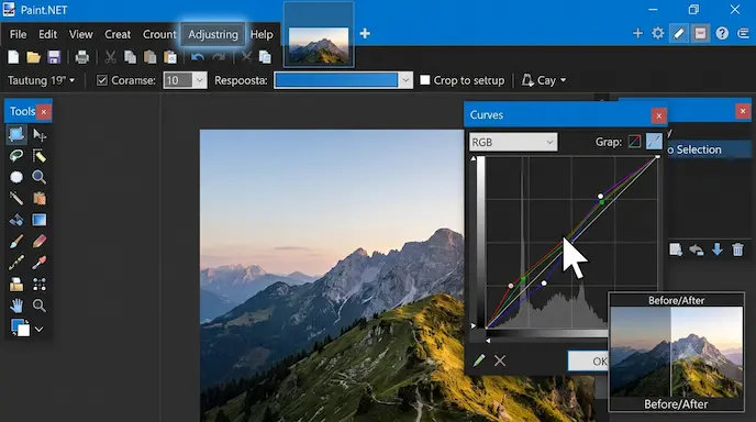 Paint.NET