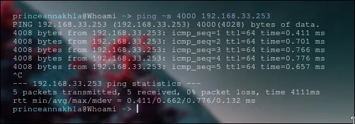 Zabbix-server