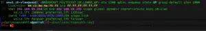 VLAN Mikrotik Linux-cli works